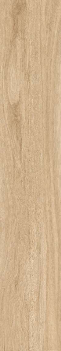 Brown Rustic Matt 20x120 (200x1200)