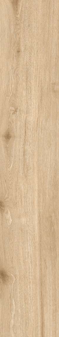 Brown Rustic Matt 20x120 (200x1200)