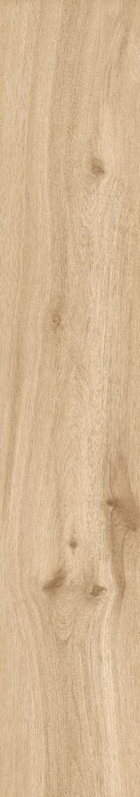 Brown Rustic Matt 20x120 (200x1200)