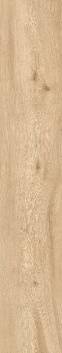 Brown Rustic Matt 20x120 (200x1200)