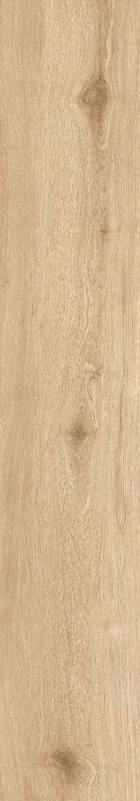 Brown Rustic Matt 20x120 (200x1200)