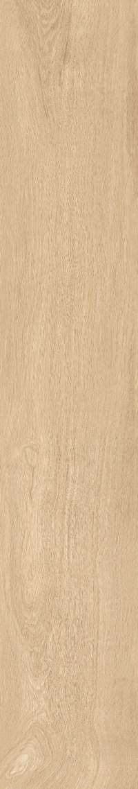 Brown Rustic Matt 20x120 (200x1200)