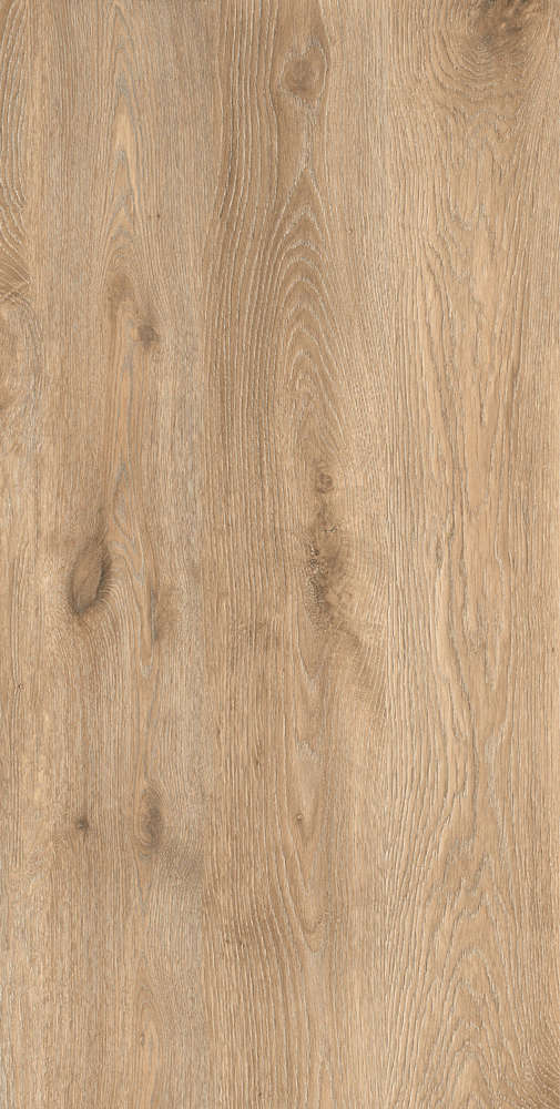 Maple светлая Matt 60х120 (600x1200)