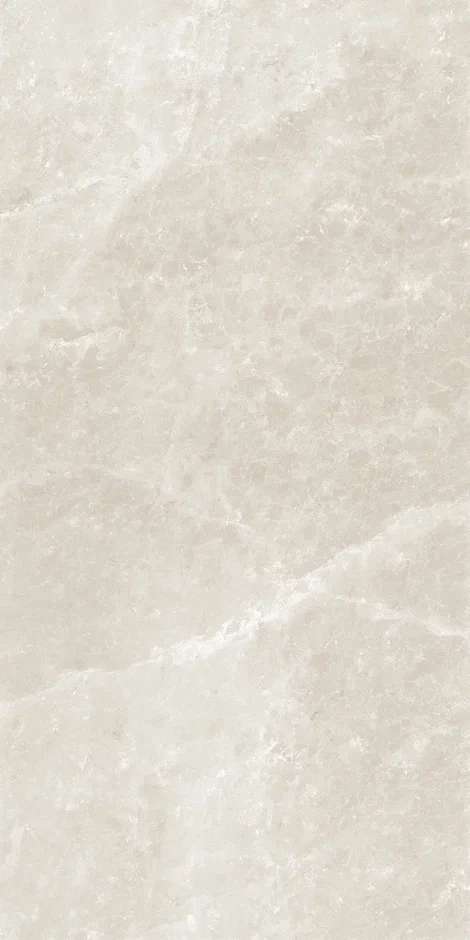 YZI612S4095 Matt in & Out P4 60x120 (600x1200)