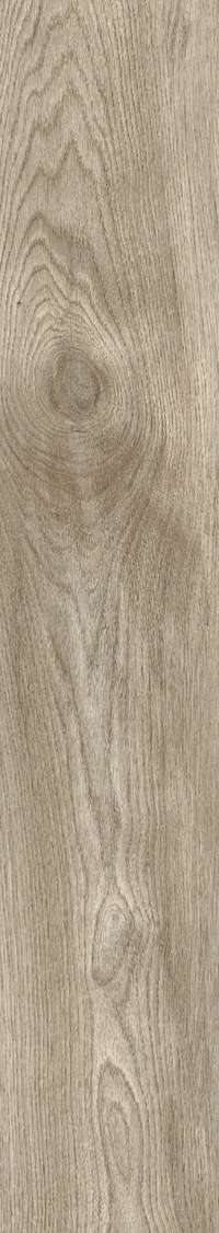 Natural Rustic Matt 20x120 (200x1200)