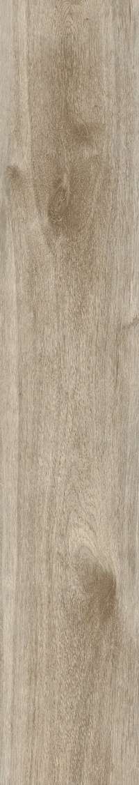 Natural Rustic Matt 20x120 (200x1200)