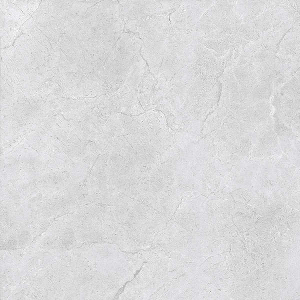 Grey Glossy 60x60 (600x600)