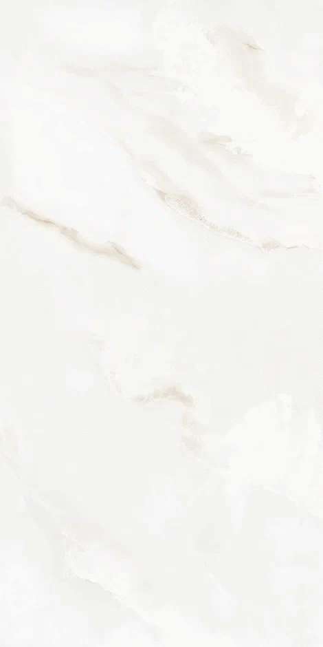 QI612P6701M Polish 60x120 (600x1200)