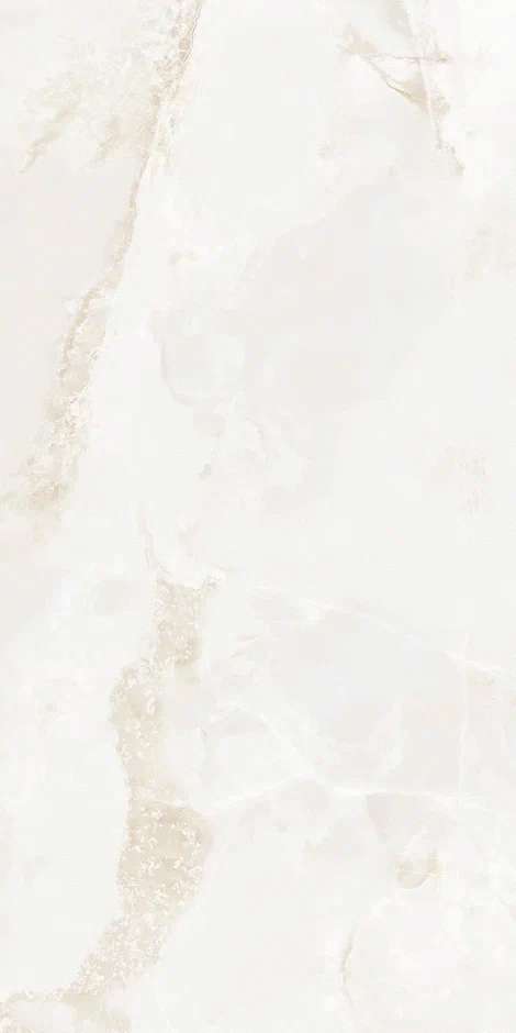 QI612P6701M Polish 60x120 (600x1200)