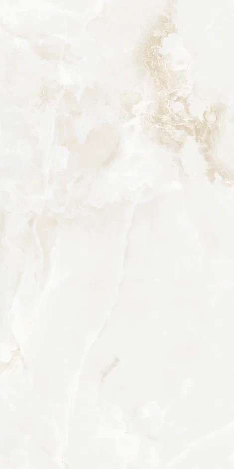 QI612P6701M Polish 60x120 (600x1200)