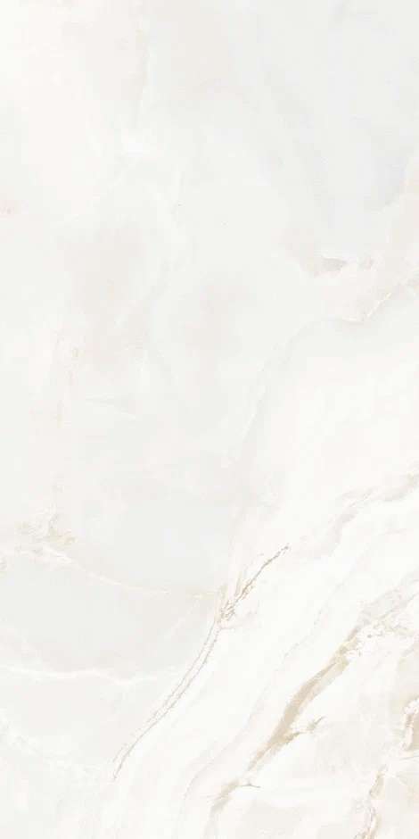 QI612P6701M Polish 60x120 (600x1200)