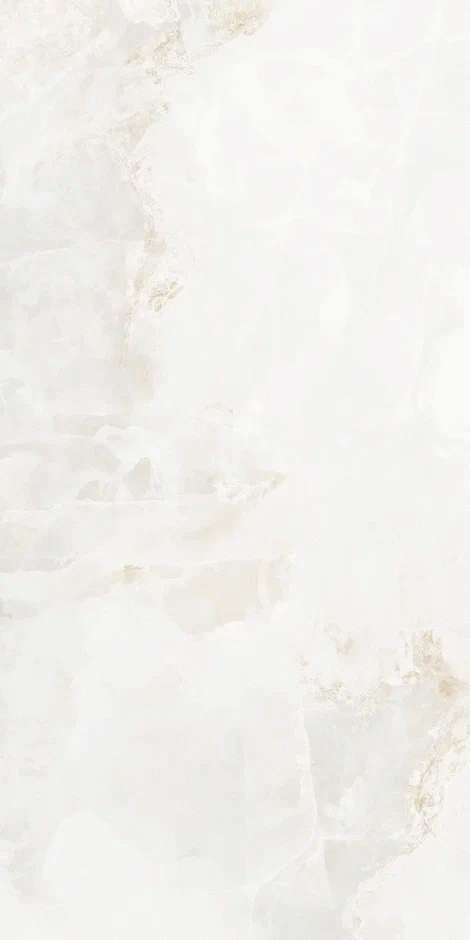 QI612P6701M Polish 60x120 (600x1200)