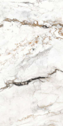 Керальд Paonazzo Glister 60x120