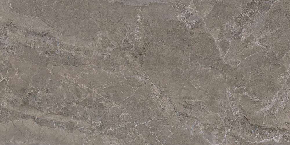 Fossil Carving 80x160 (1600x800)