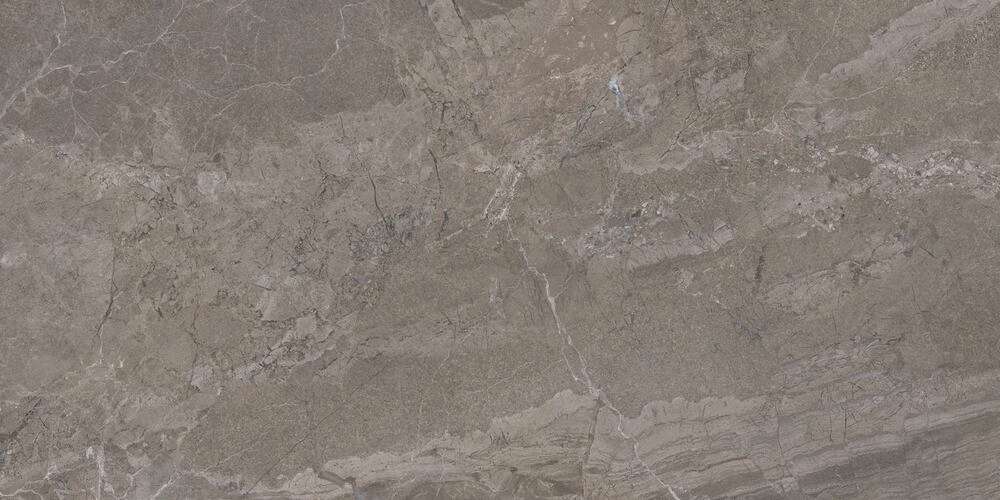 Fossil Carving 80x160 (1600x800)