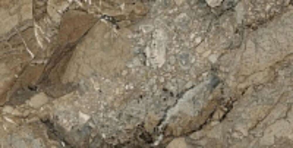 Brown 5219 High Glossy 60х120 (1200x600)