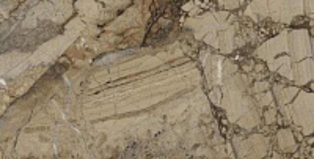 Brown 5219 High Glossy 60х120 (1200x600)