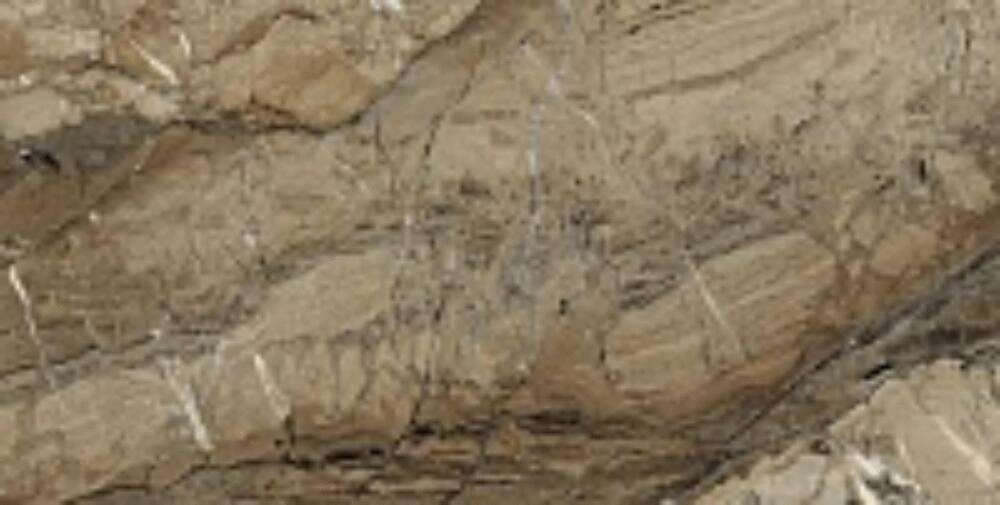 Brown 5219 High Glossy 60х120 (1200x600)