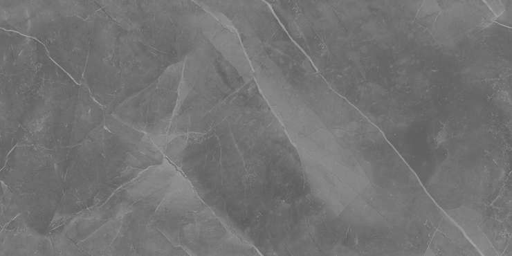 Керальд Unica Grey Glossy 60x120