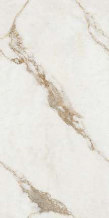 Керальд White Staturio Golden Veins 60x120