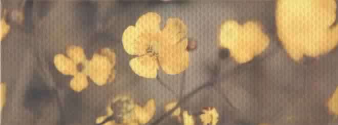 Керама Марацци Ньюпорт Лютик