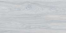 SG210800N Настенная плитка Kerama Marazzi Палисандр серый светлый 30x60 (600x300)