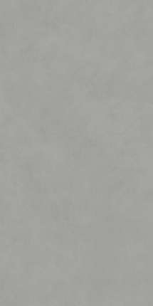 Керама Марацци Про Чементо Серый Матовый Обрезной 119.5x238.5 9мм