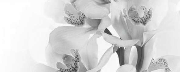 Керамин Элегия 7 Панно тип-2