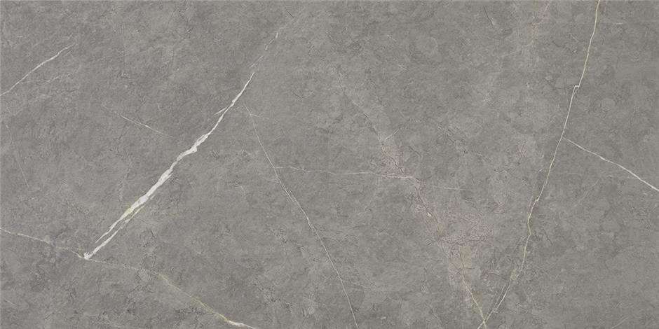 Grey 60x120 Pulido Rect (1200x600)