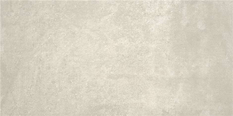 Taupe Mt 60x120 Rect. (1200x600)