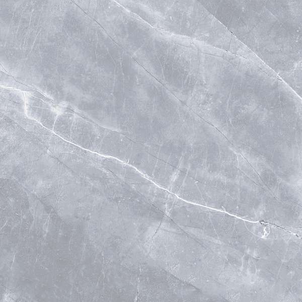 Maykel Gray 60х60 (600x600)