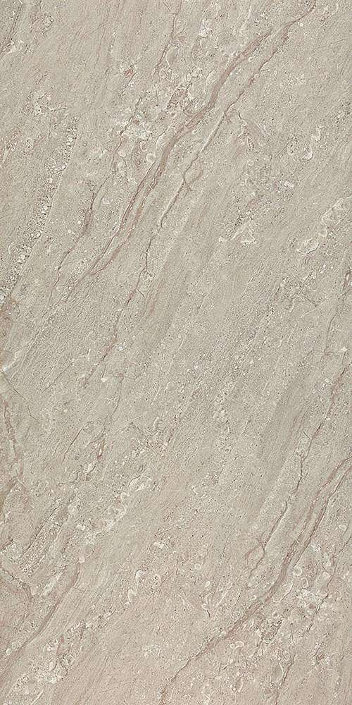 Grey Rectified Parlak Nano (600x1200)