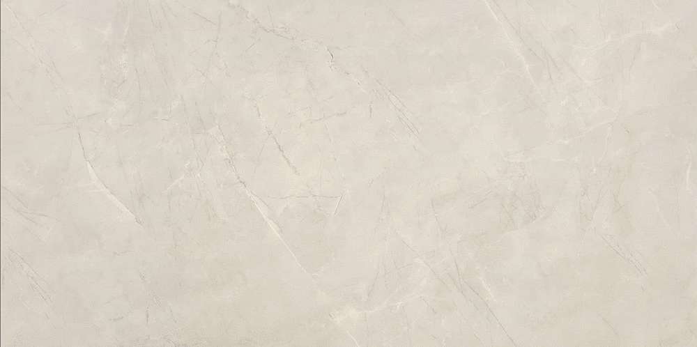 Light Grey Parlak Nano Rectified 120x240 (2400x1200)