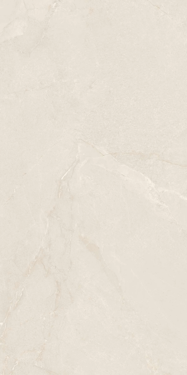 Belleza Cabanes Greige Shapetouch 60х120 фото-3