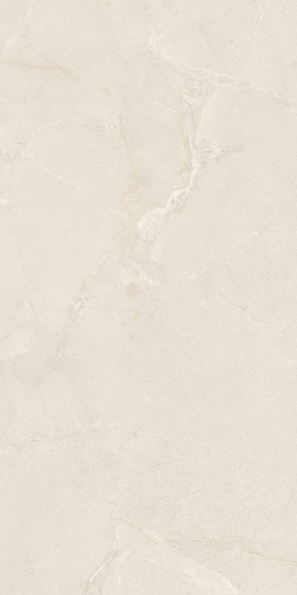 Belleza Cabanes Greige Shapetouch 60х120 фото-4