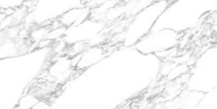 ЛВ Гранито Carving Arabescato Carving 60x120