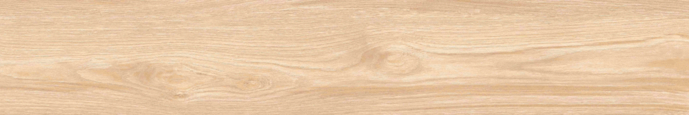 Matt Punch 20х120 (1200x200)