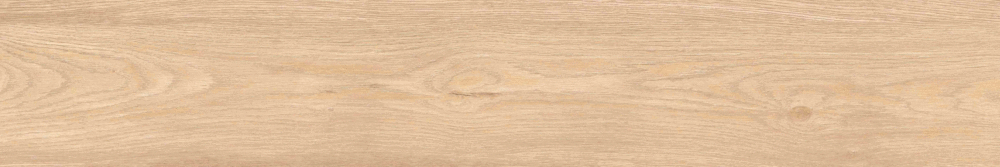 Matt Punch 20х120 (1200x200)