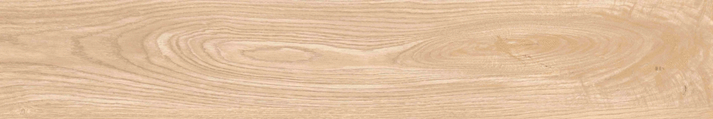 Matt Punch 20х120 (1200x200)