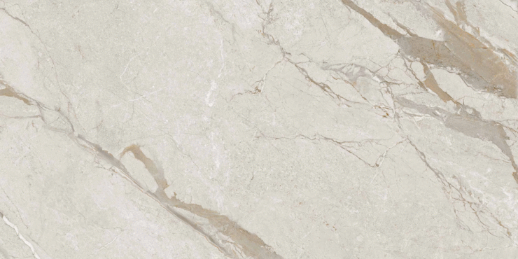 LV Granito Rock CRV Michel Grey 2P Carving 60x120