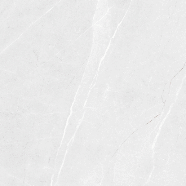 Керамогранит LV Granito Vibrant Bianco Carving 60x60 (600x600)