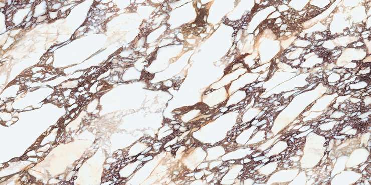 Ламинам I Naturali Marmi Calacatta Viola Book Match Face A 324x162 12.2 мм