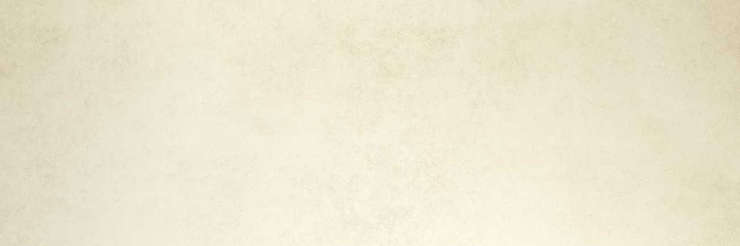 ЛаминамРус Blend Avorio 300x100 5.8 мм