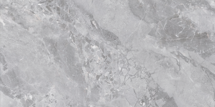 Lamore Ceramic Assos Grey Polished 60x120