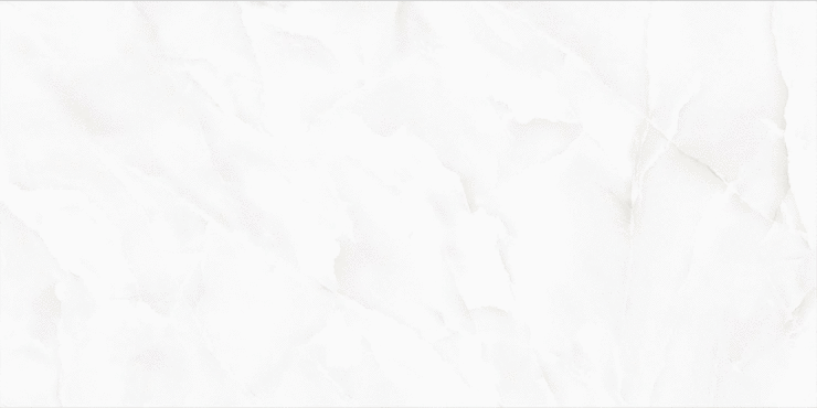 Lamore Ceramic Onici Gris Polished 60x120