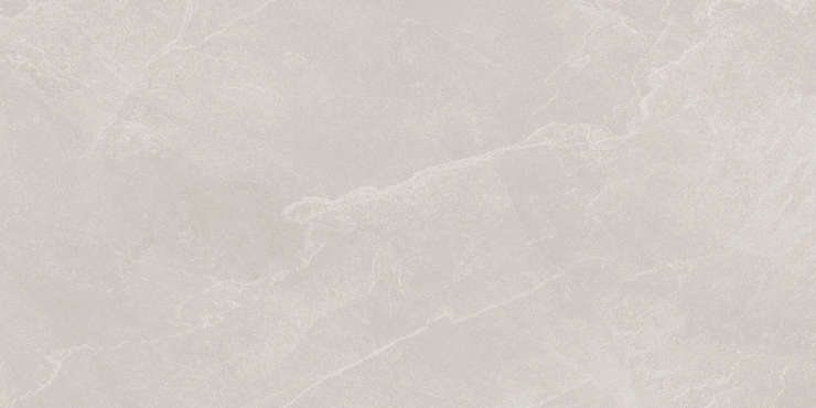 Лапарет Archie Bianco Pro Светло-серый 60х120 матовый R10GR STR