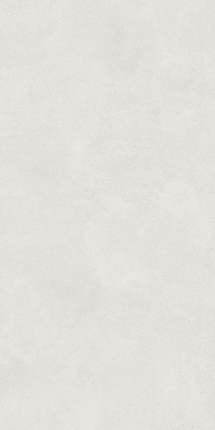 ЛБ керамикс Inei Светло-Серый 60х120