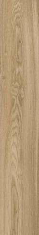 Oak ginger rtt (200x1200)