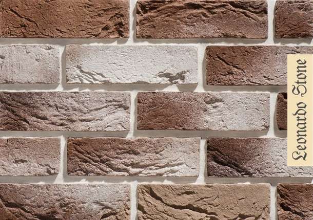 Леонардо Стоун Авиньон 402