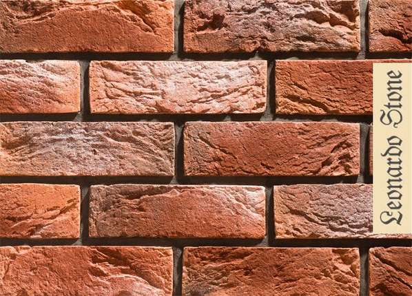 Леонардо Стоун Авиньон 490